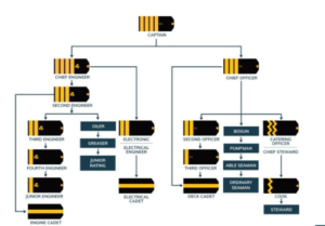 Rank Hierarchy In Merchant Navy